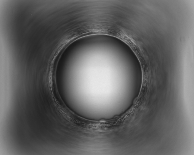 X0000096130098200801181121