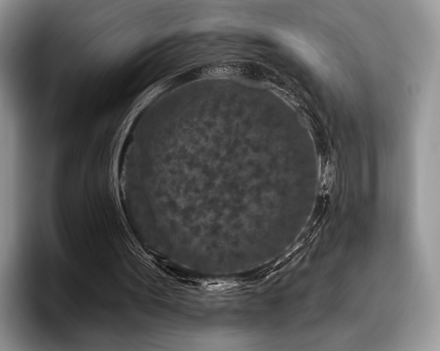 X0000096130099200801181121