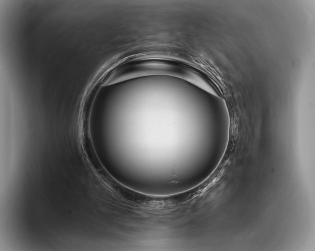 X0000096130101200801181121