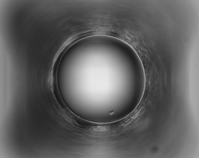 X0000096130102200801181121