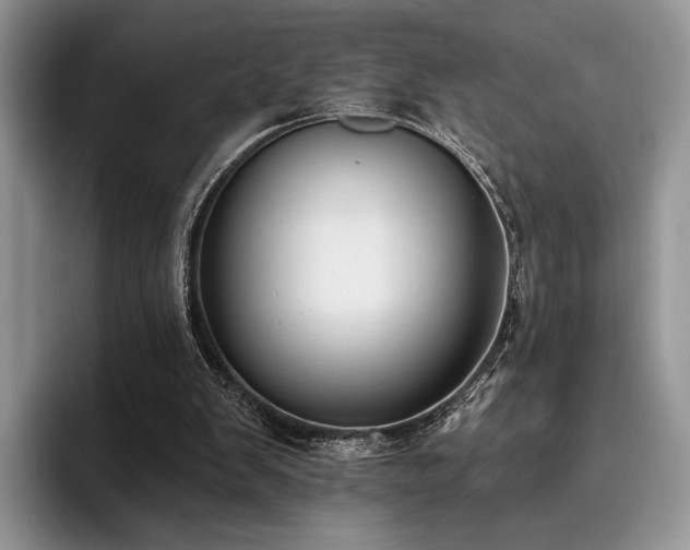 X0000096130103200801181121