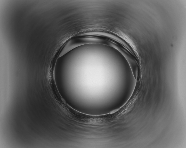 X0000096130105200801181120