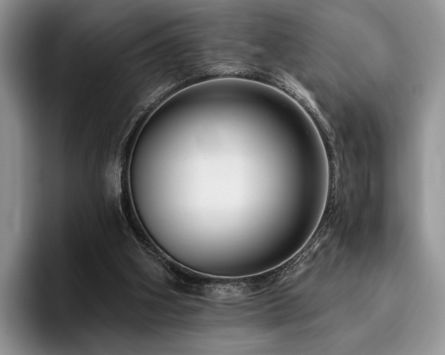 X0000096130106200801181120