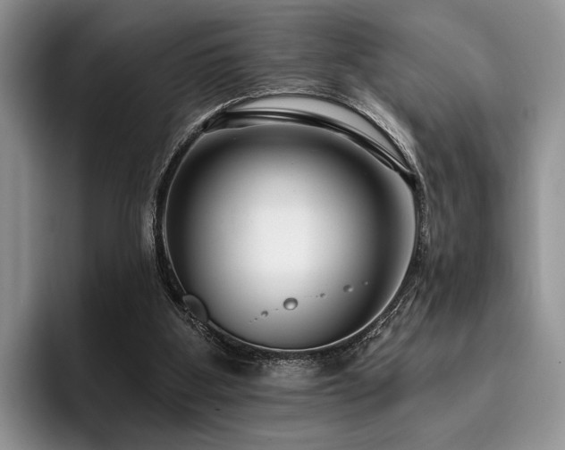 X0000096130107200801181120