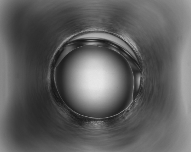 X0000096130108200801181120