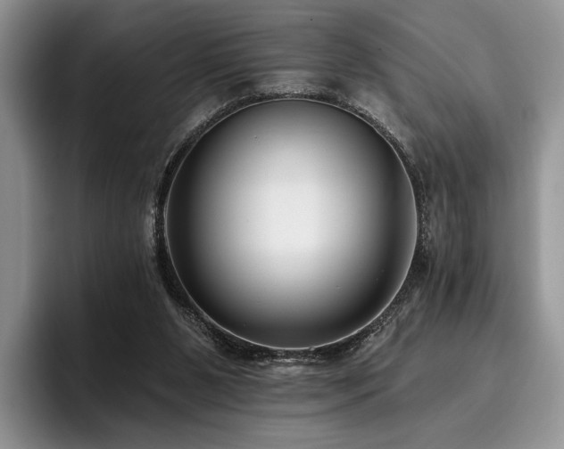 X0000096130111200801181120
