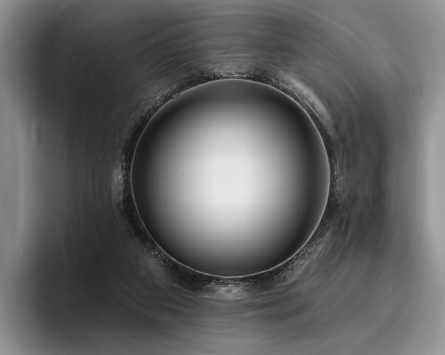X0000096130113200801181120