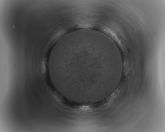 X0000096130114200801181120