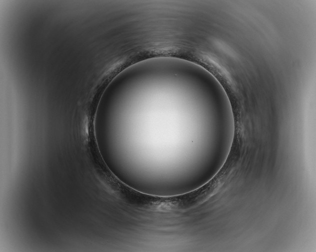 X0000096130115200801181120