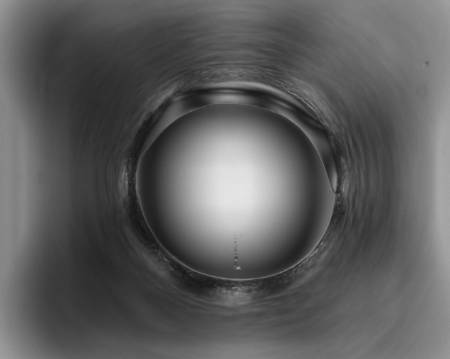 X0000096130120200801181120