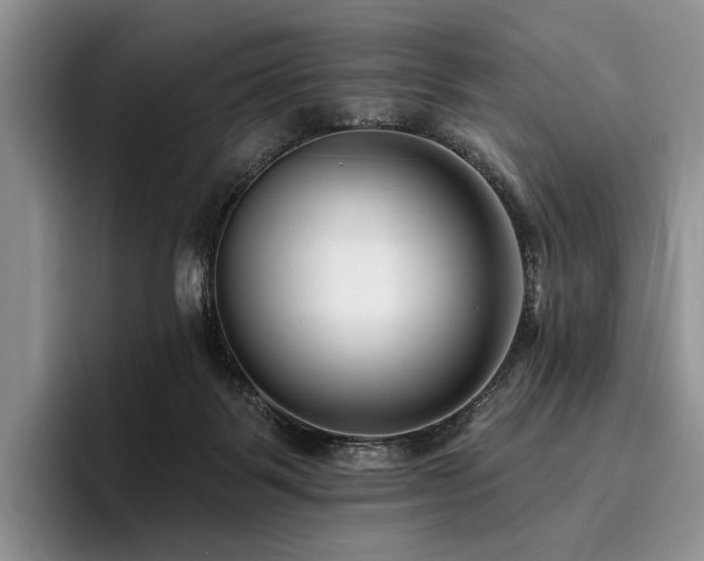 X0000096130123200801181120