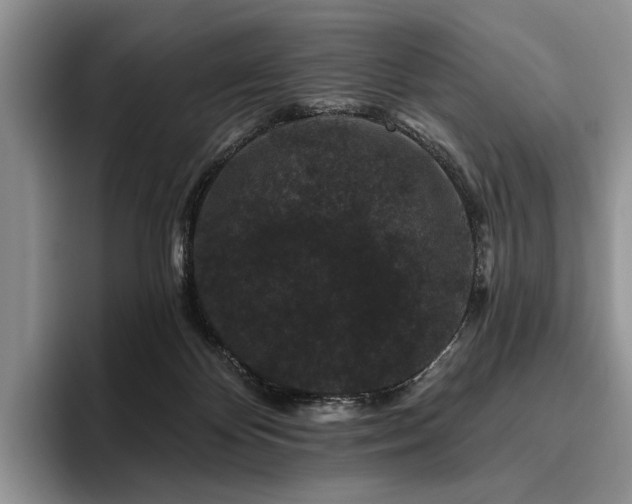 X0000096130124200801181120