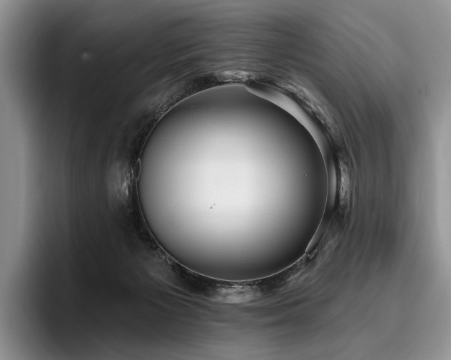 X0000096130125200801181120