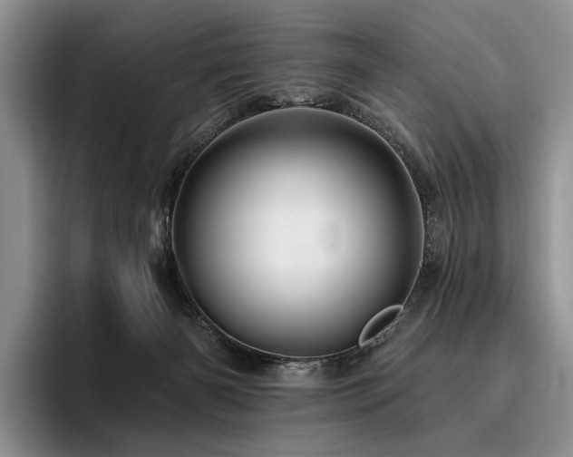 X0000096130126200801181120