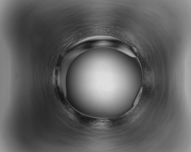X0000096130128200801181120