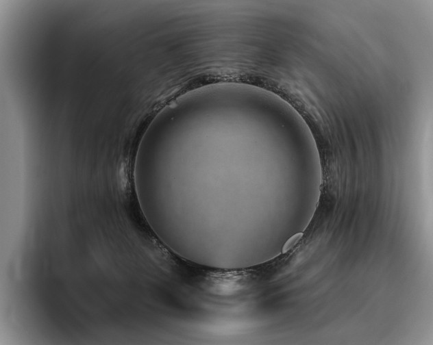X0000096130131200801181120