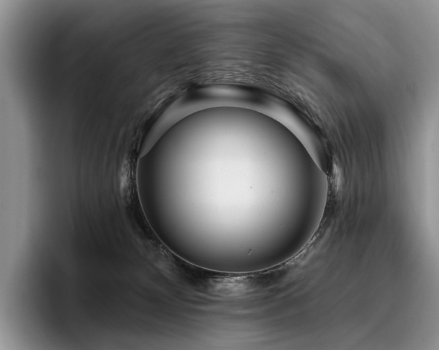 X0000096130132200801181120