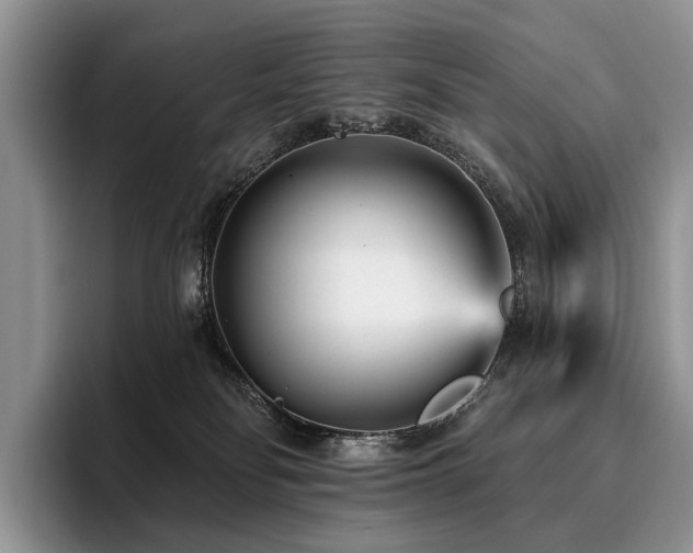 X0000096130134200801181120