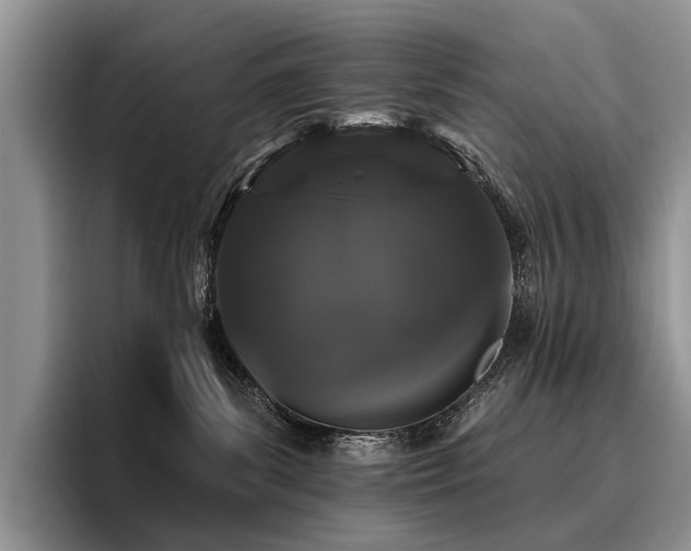 X0000096130139200801181120
