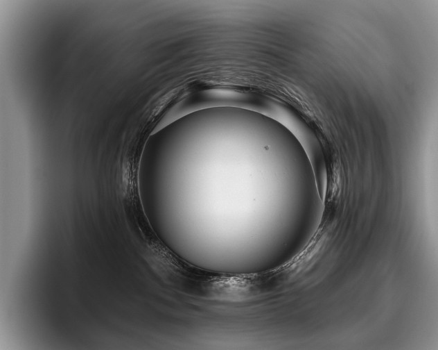 X0000096130140200801181120
