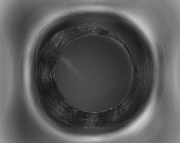 X0000096130143200801181120