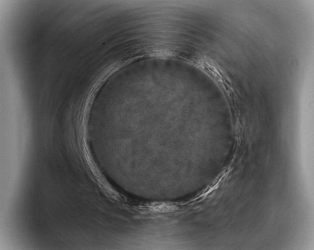 X0000096130145200801181119