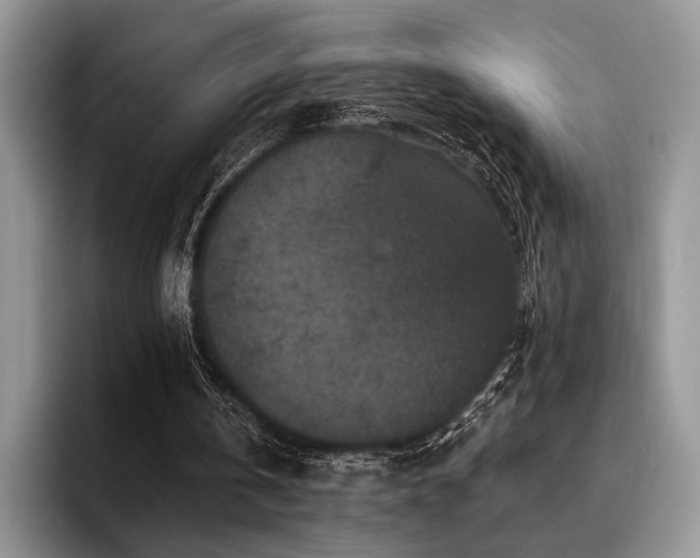 X0000096130146200801181119
