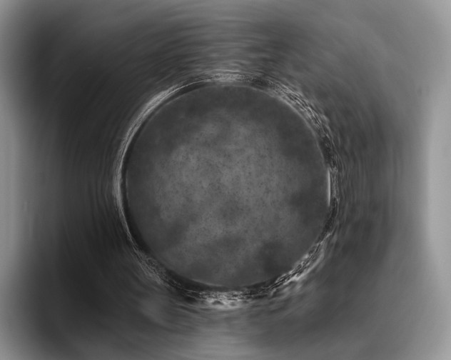 X0000096130147200801181119