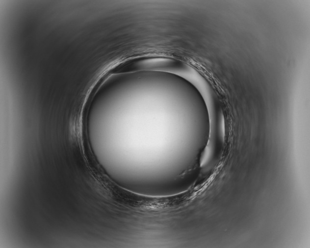 X0000096130148200801181119