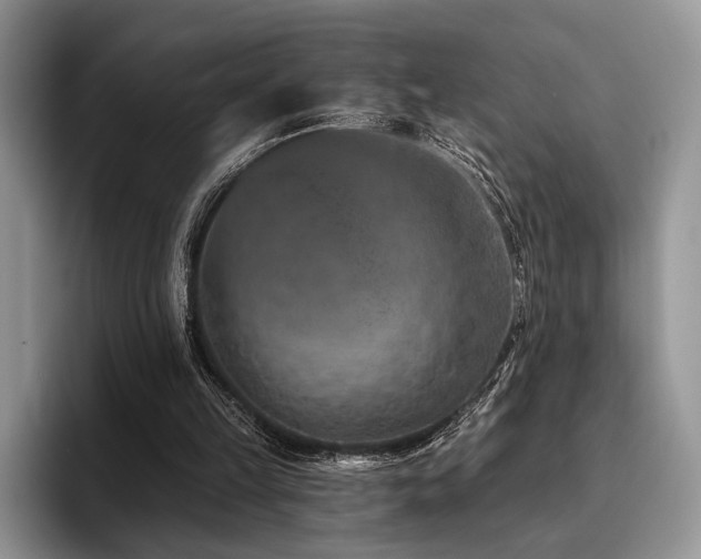 X0000096130149200801181119
