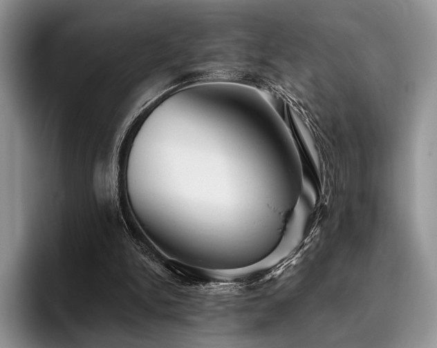 X0000096130150200801181119