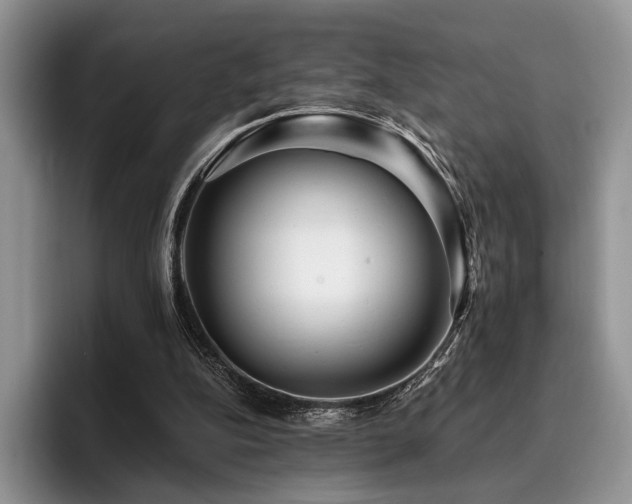 X0000096130152200801181119