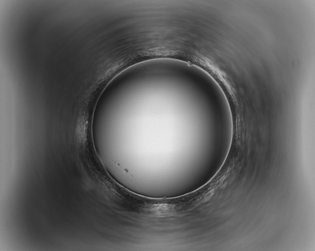 X0000096130153200801181119