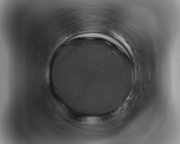 X0000096130154200801181119