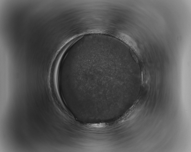 X0000096130156200801181119