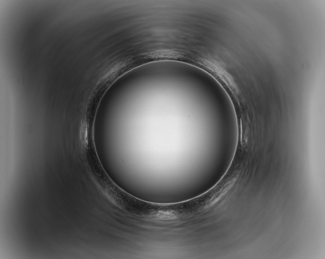 X0000096130157200801181120