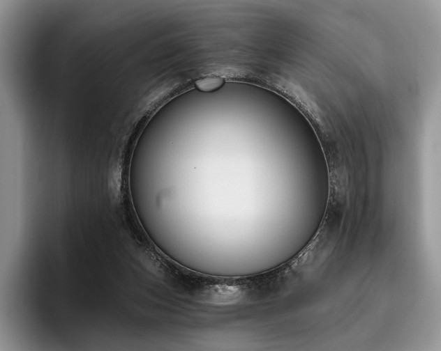 X0000096130159200801181120