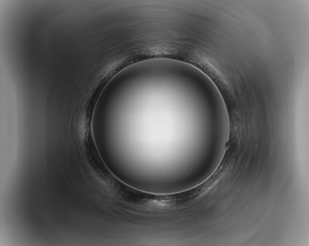 X0000096130164200801181120