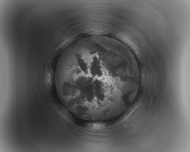 X0000096130165200801181120