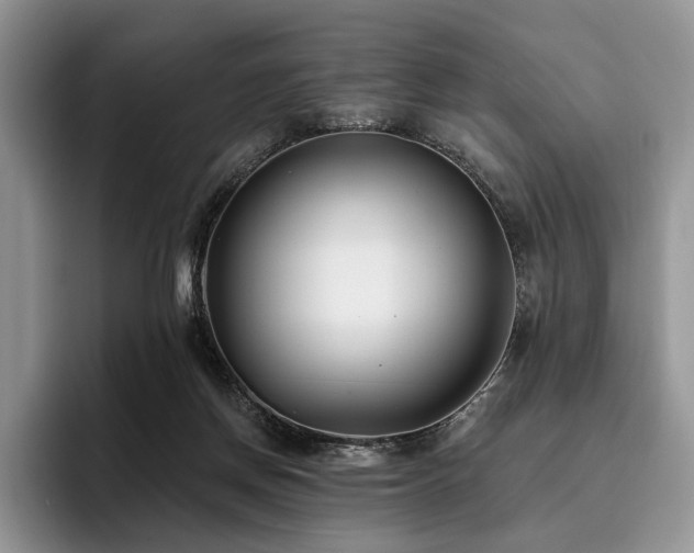 X0000096130166200801181120