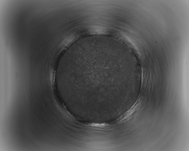 X0000096130168200801181120