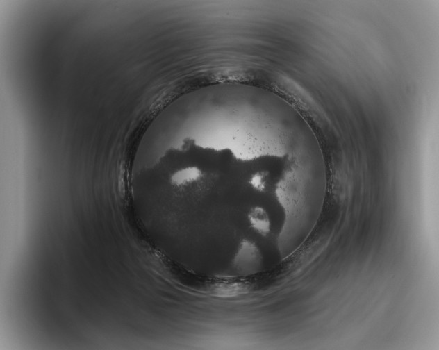 X0000096130169200801181120