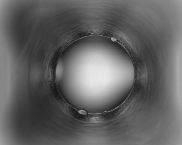 X0000096130173200801181120