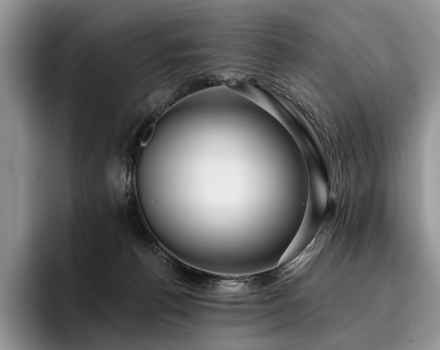 X0000096130176200801181120