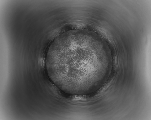 X0000096130177200801181120