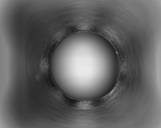 X0000096130179200801181120