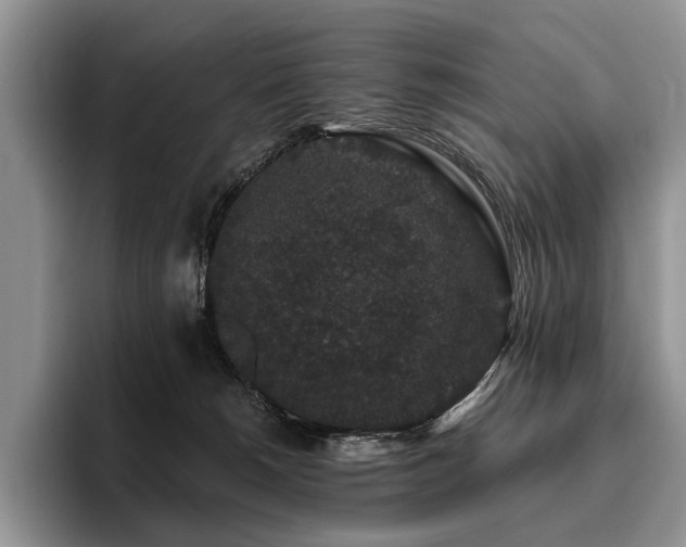 X0000096130180200801181120