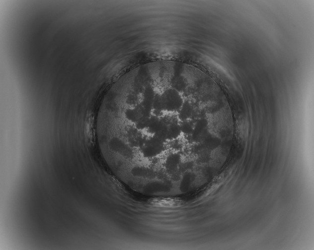 X0000096130181200801181120