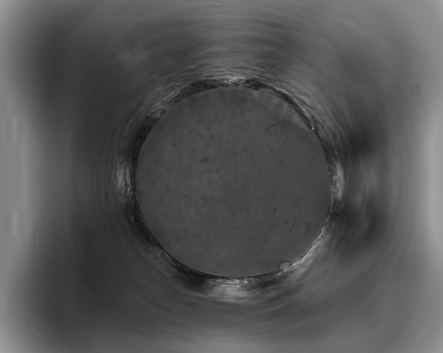 X0000096130182200801181120