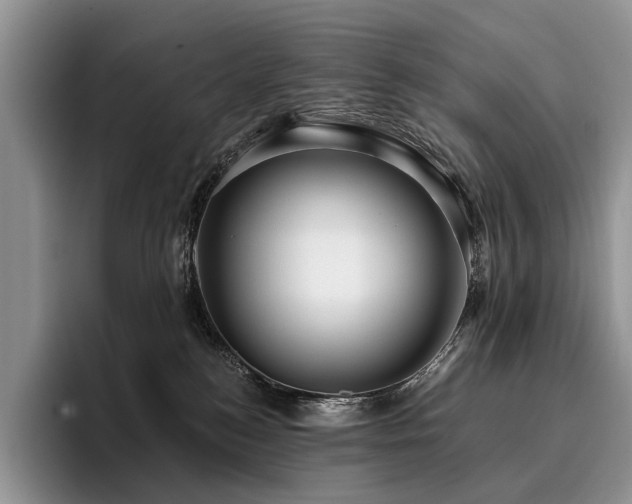 X0000096130184200801181120